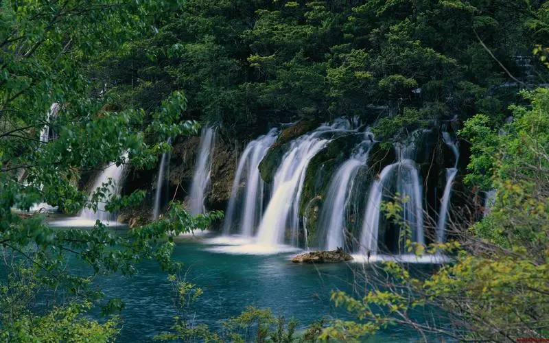 自动化绿色无人化